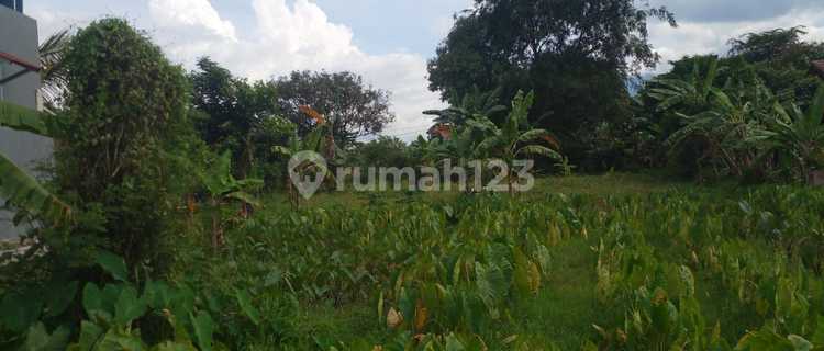 Promo Tanah Kavling Cluster Termurah  Di Bogor Ciomas - Bisa Di Cicil 1