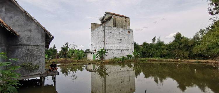 Rumah walet daerah metro 1