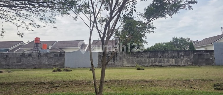 Tanah Kavling Prospek Investasi Menjanjikan di Rafflesia Gp 1