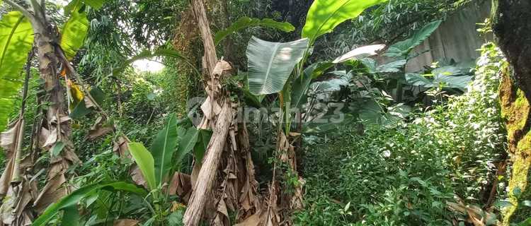 For Sale Green Zone Land in Banyubiru Area, Semarang Regency 1