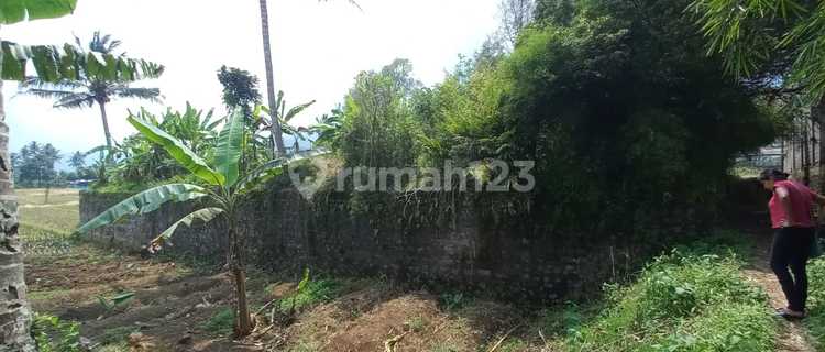 Land for Sale in Green Zone Area, Banyubiru, Semarang Regency 1