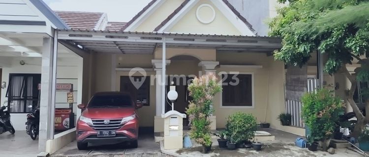 For Rent Cluster Jasmine Park House in Plamongan Indah Semarang 1