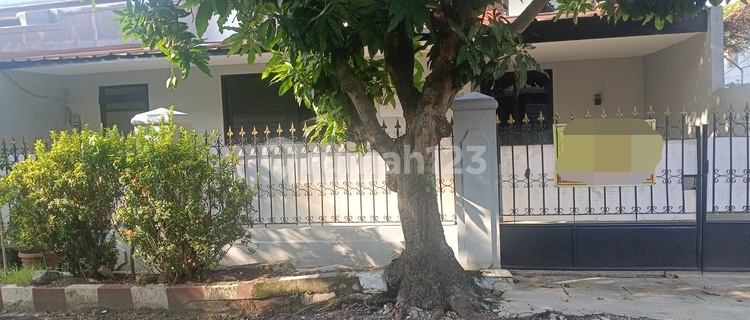 Rumah Siap Huni Cocok Untuk Usaha Atau Kantor Di Ketilang Perum 1
