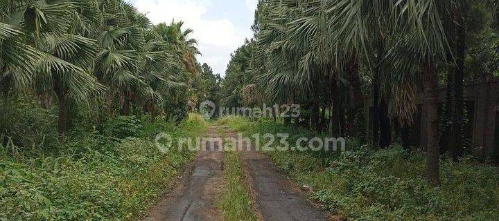 Tanah di Jalan Raya Gatot subroto arah Serang  1