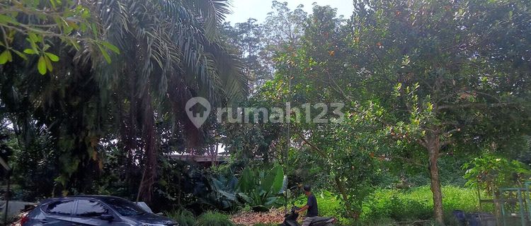 Location on the side of the main road near BSB, already complete with warehouse and other buildings. Land in Mijen, 7.6 hectares with SHM certificate. 1