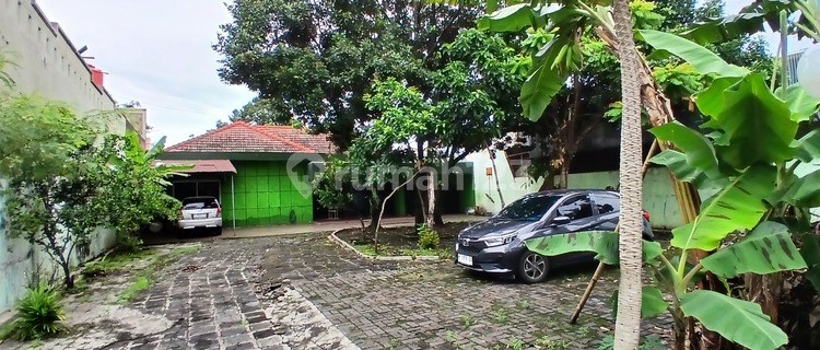 A Very Spacious House by the Highway 1