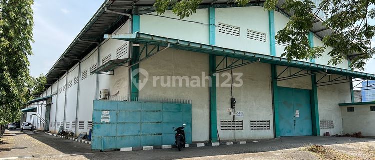 Warehouse with 10-meter High Ceiling Ready for Use 1