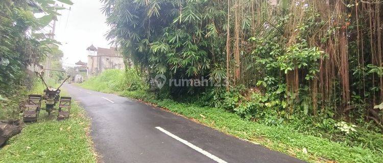 Tanah Yellow Zone Di Keliki Dekat Ubud Bali 1