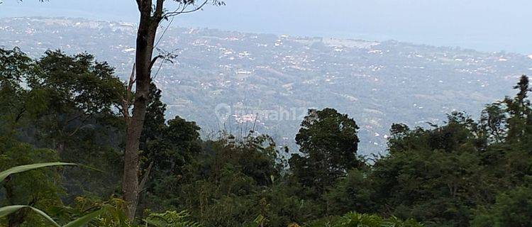 Land with sea and valley views near Munduk and Wanagiri 1