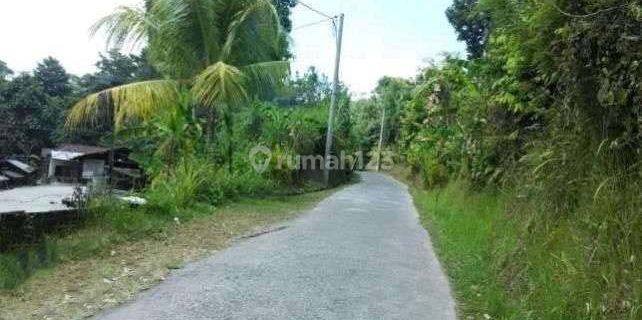 Garden land near Bali Silent Retreat and Penalahan Bali hot springs 1