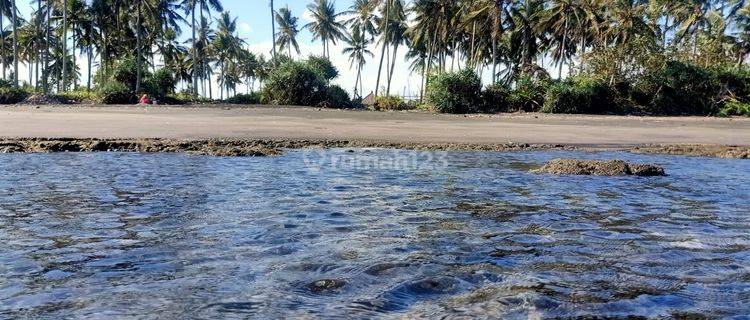 Beach front land di Perancak 30 menit ke pantai Medewi Bali 1