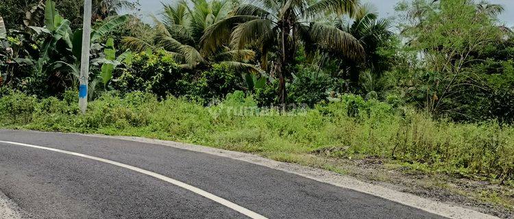 Tanah view sungai kecil dekat exit toll Antosari Bali 1