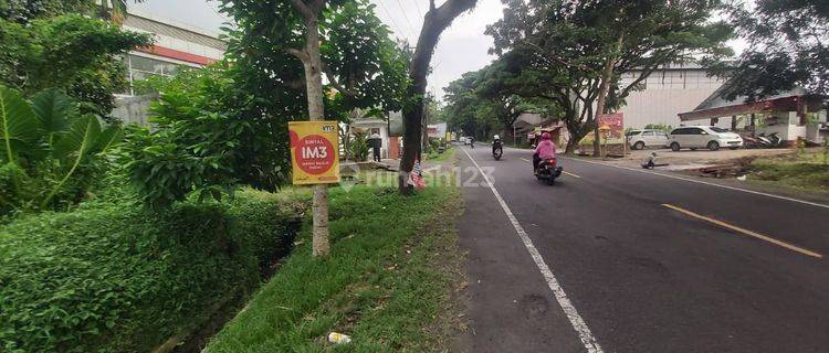 Tanah di jalan utama Megati 13 menit dari exit toll Antosari Bali 1