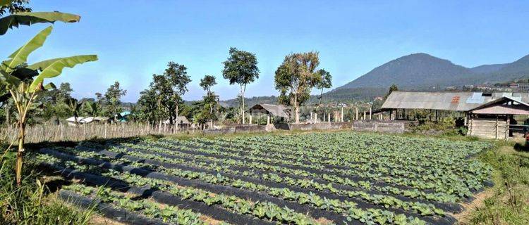 Tanah kebun view lembah dan gunung di Baturiti dekat Bedugul Bali 1