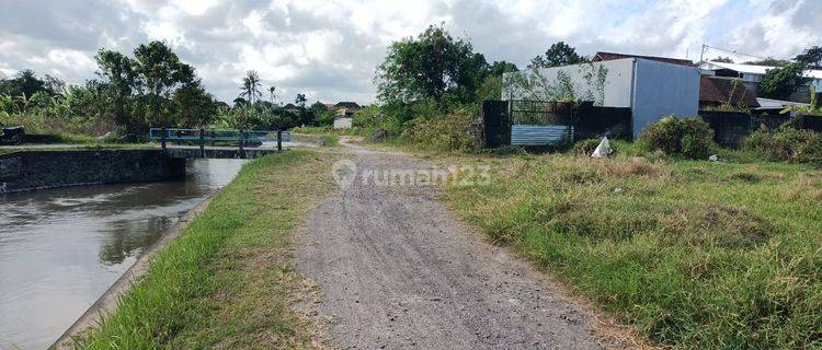 Tanah view sawah di Lukluk Badung 20 menit ke Canggu 1