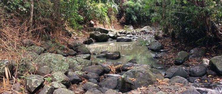 Tanah dekat pantai view sungai dan gunung 50 menit ke Canggu Bali 1