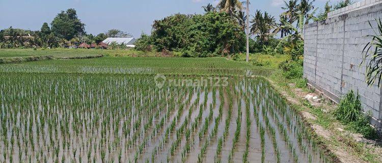 Land for leasehold in Lodtunduh Ubud with rice fields view 1