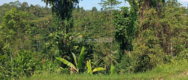 Tanah view lembah dan jungle dekat Samsara Resort Ubud Bali 1