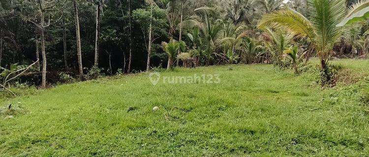 Land for leasehold in Tabanan Bali close Sing Sing Angin waterfall 1