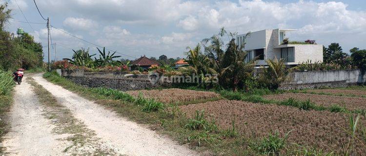 Land for Leasehold close Komune Beach Club Bali 1