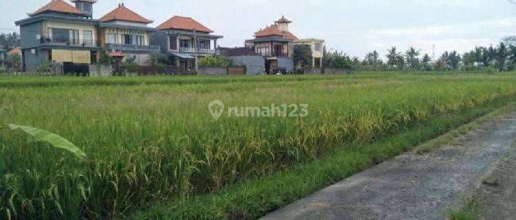 Tanah Zona Pariwisata view sawah di Sayan Ubud Bali 1