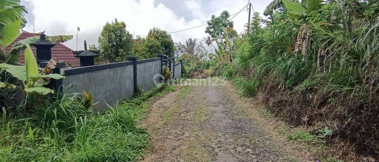 Tanah di Wanagiri Singaraja dekat Altavista Bali Mountain Villa 1