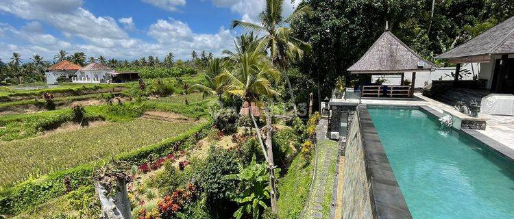 Villa view sawah di Ubud Bali 1