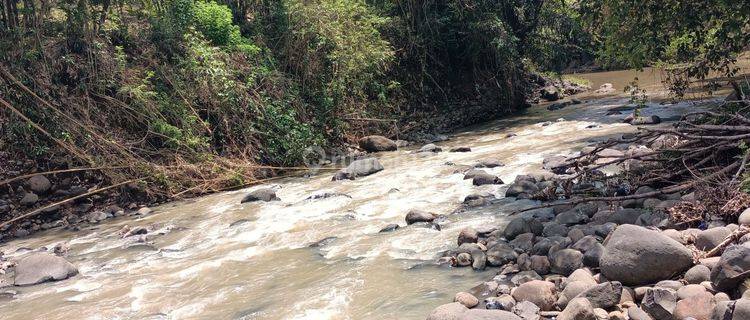 Tanah view sungai dan jungle dekat Pantai Soka Tabanan Bali 1