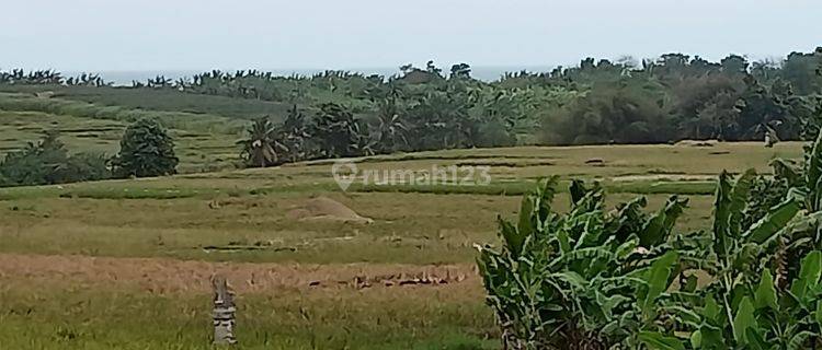 Tanah Zona Pariwisata (Pink Zone) dekat Soori Kelating Bali 1