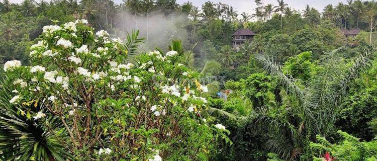 Land for Leasehold in Kedewatan Ubud with jungle views 1