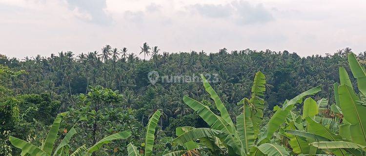 Tanah view jungle dekat ke Pantai Kelecung Bali 1