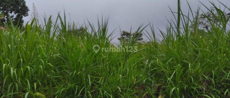 Tanah di Wanagiri Buleleng Bali view lembah dan laut 1