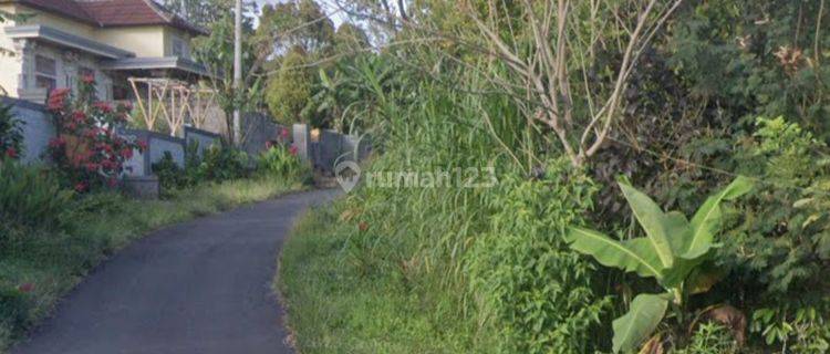 Tanah di Wanagiri Buleleng Bali dekat air terjun 1