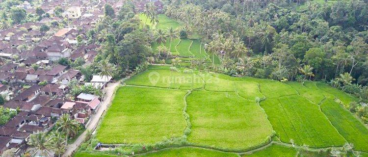 Tanah di Kenderan Ubud Bali dekat Manuaba waterfall 1