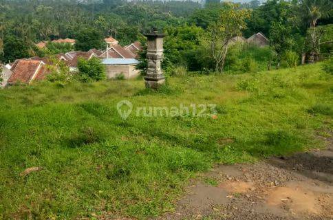 Tanah di Kayu Putih 7 menit dari Pantai Lovina Bali 1