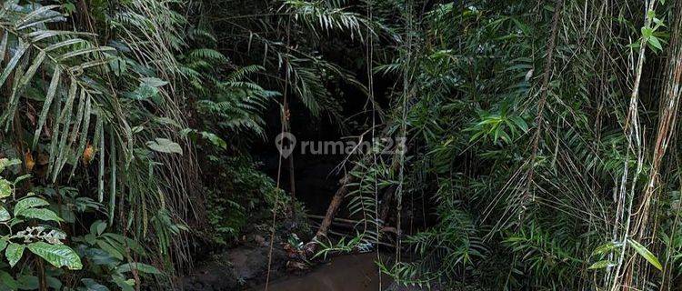 Land with river and jungle views near Samsara Resort Ubud Bali 1