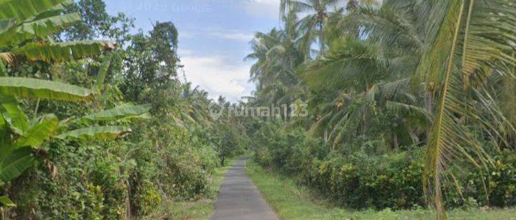 Tanah Zona Industri Di Candikusuma Melaya Jembrana Bali 1