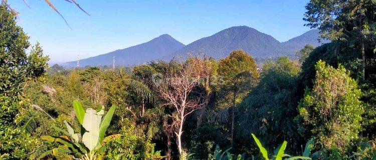 Plantation land with mountain and valley views in Baturiti Bali 1