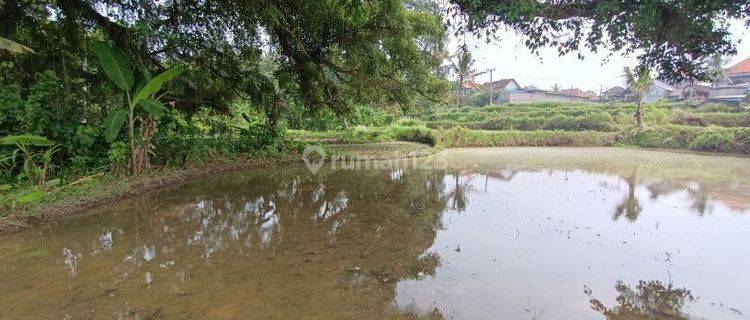 Land For Leasehold Near Maya Ubud Bali 1