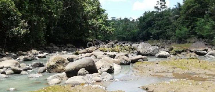 Yellow Zone Land For Leasehold With River View In Tabanan Bali 1