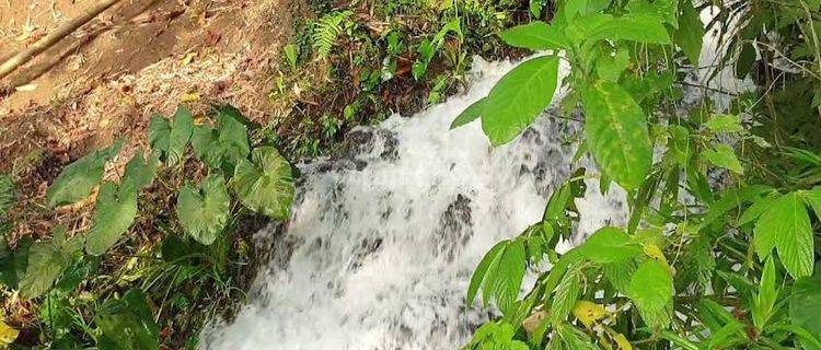 Tanah Kebun Di Penebel Bali Hanya 15 Menit Ke Jatiluwih 1