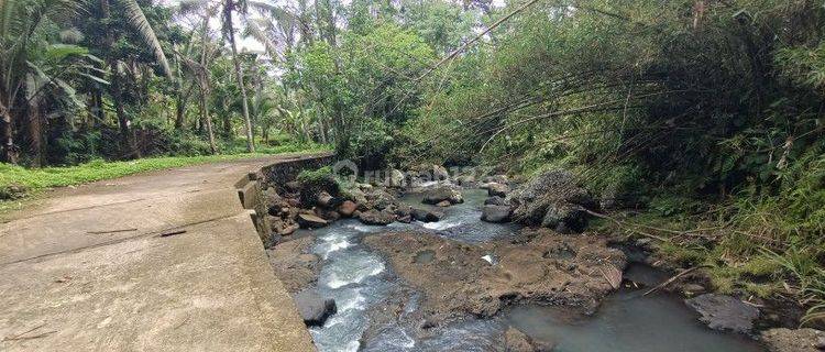 Land for leasehold in Tabanan Bali close Sing Sing Angin waterfall 1