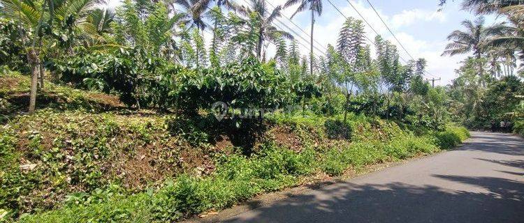 Land near Pandawa Beach, Bali, sea view on the 2nd floor 1