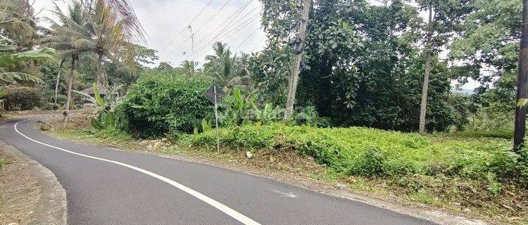 Tanah View Gunung Dan Lembah Di Selemadeg Tabanan Bali