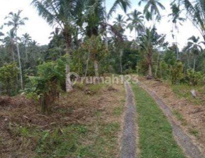 Tanah Kebun Dekat Talasi Estate Dan Alassari Plantation Bali 1