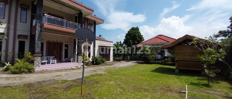 Dijual Rumah Vila Halaman Luas Daerah Sejuk Asri Aman Bebas Banjir Kebun Buah Halaman Luas 1