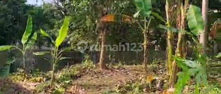 Dijual Tanah Luas 1154m² Shm Jln. Argopuro Dekat Jamu Jago, Surat Kabar Suara Merdeka , Tensindo, Kapolda, Dan Kantor Pos 1