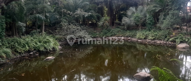 Rumah Mewah Nyaman Cocok Untuk Atau Sewa Kost.  1