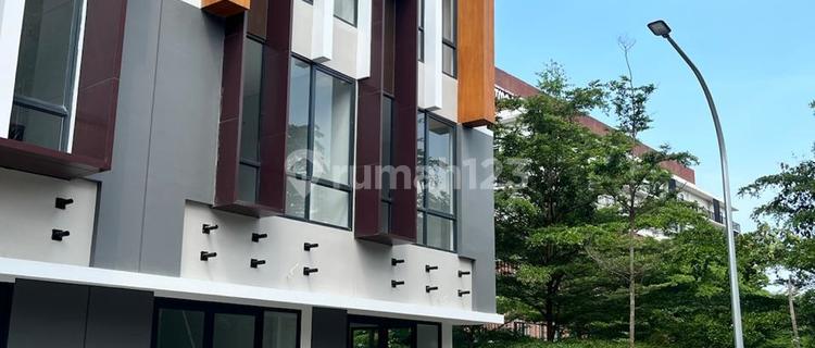 For Rent Campton Shop House Bsd City 1