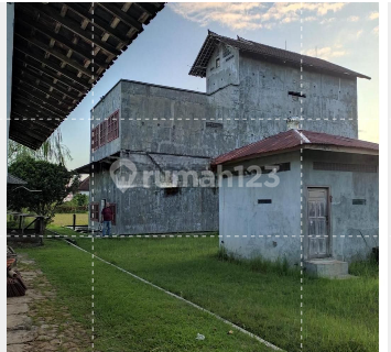 RUMAH BURUNG WALET PRODUKTIF DI JL PATIH JELANTIK BALI 1